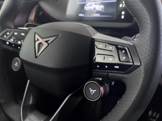 Cupra Tavascan 210 kW 82kWh+SHZ+KAMERA+NAVI+ALLWETTER