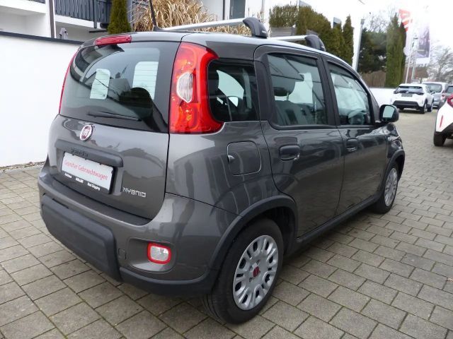 Fiat Panda 1.0 Mild-Hybrid Klimaanlage Bluetooth DAB