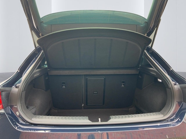 Cupra Leon 2.0 TSI DSG VZ