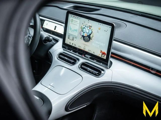 Smart #1 PULSE #368PS #ALLE ANDEREN HABEN KEINE AHNUNG