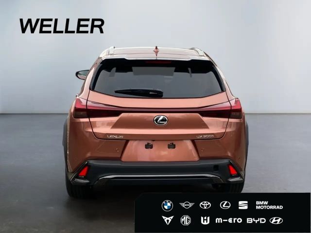 Lexus UX F Sport Sport