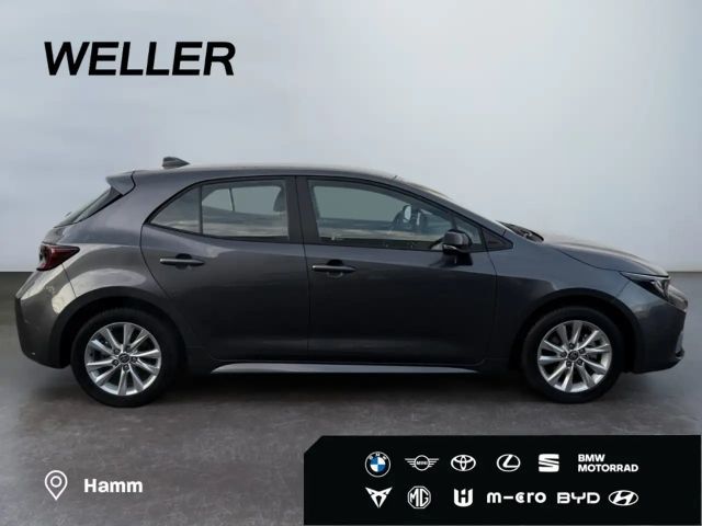 Toyota Corolla Business Hybride