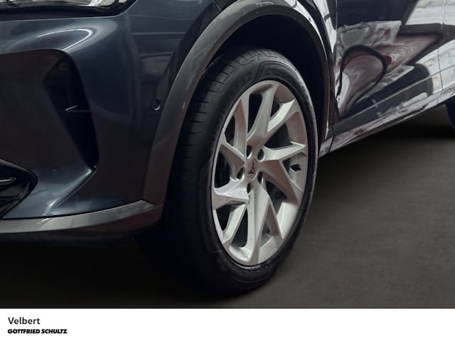 Cupra Formentor Basis