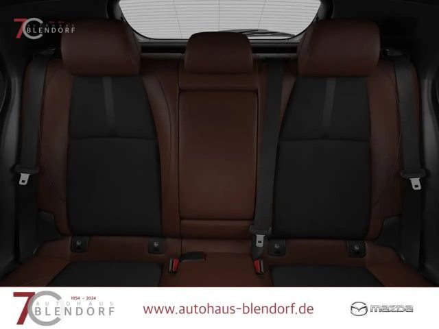 Mazda 3 2,5 L Nagisa Automatik BOSE|Kamera|Navi