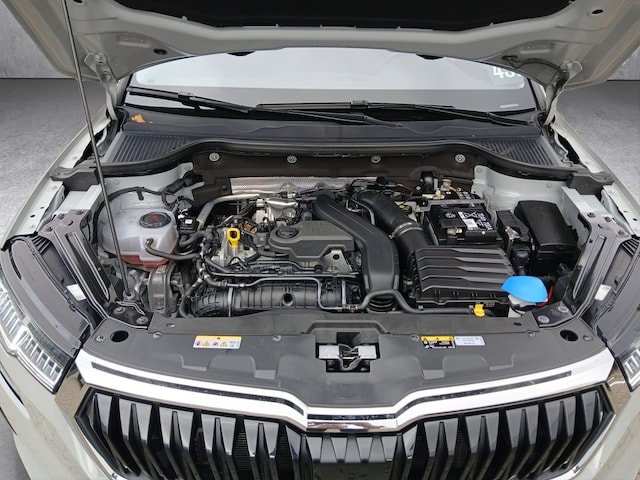 Skoda Karoq 1.5 TSI Drive Selection