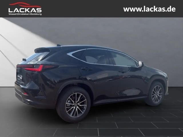 Lexus NX Executive Line