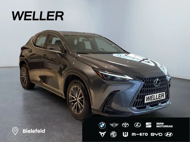 Lexus NX *Bi-LED*ACC*CAM*Navi*CarPlay*Soundsystem*