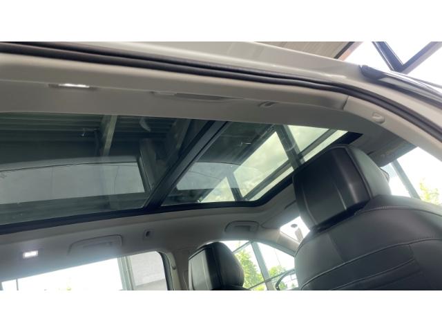 Volkswagen Passat Business IQ.Drive Variant