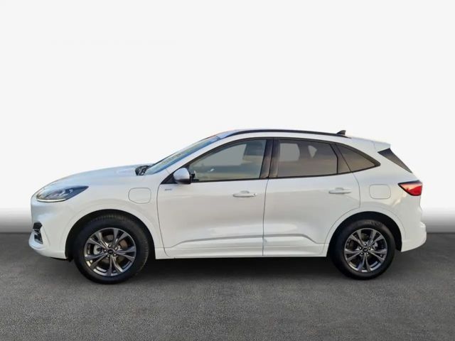 Ford Kuga Plug in Hybrid ST Line X