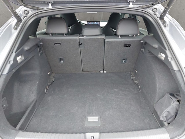 Cupra Terramar 2.0 TSI VZ