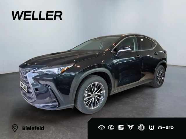 Lexus NX Executive Line