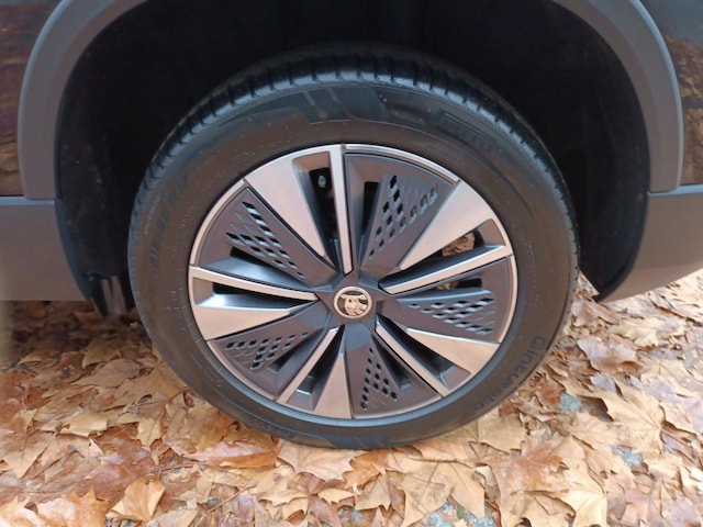 Skoda Karoq 1.5 TSI Ambition