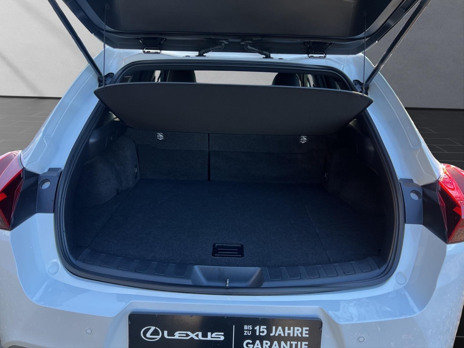 Lexus UX 250h F Sport Sport