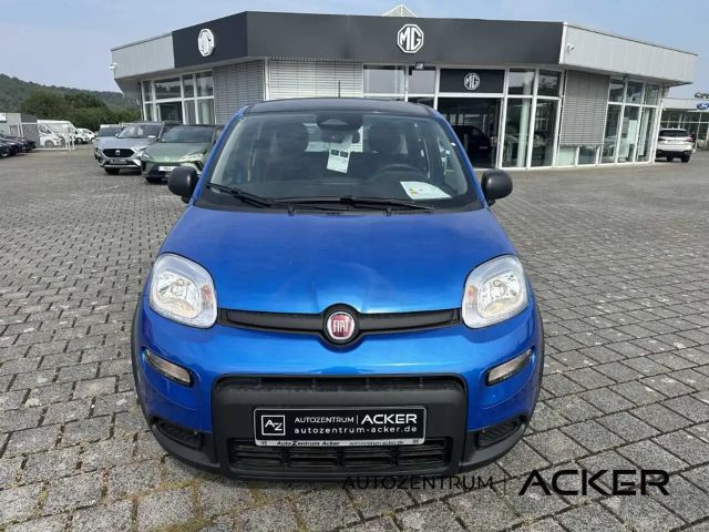 Fiat Panda CityCross