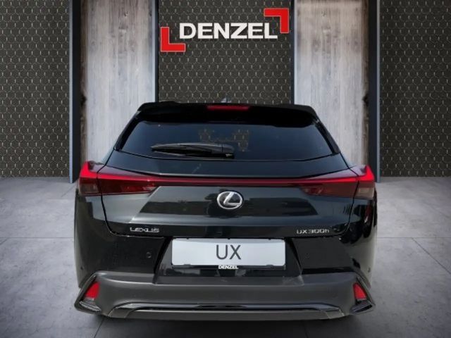 Lexus UX F Sport Sport