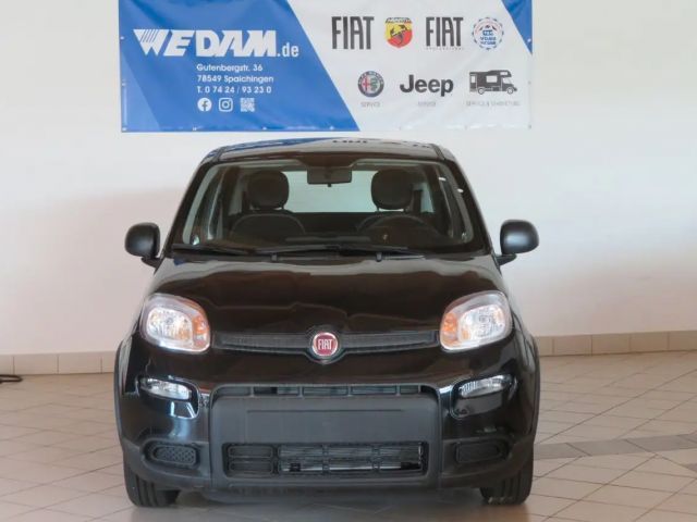 Fiat Panda Urban
