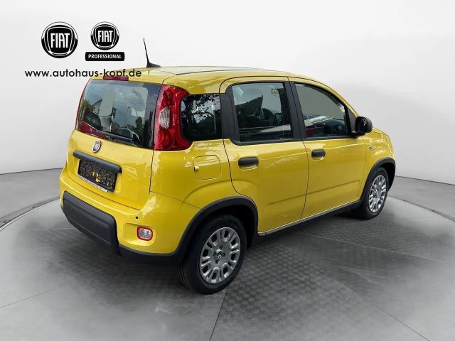Fiat Panda 1.0 GSE Hybrid