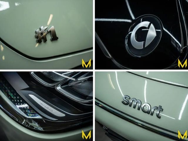 Smart #1 PULSE #368PS #ALLE ANDEREN HABEN KEINE AHNUNG