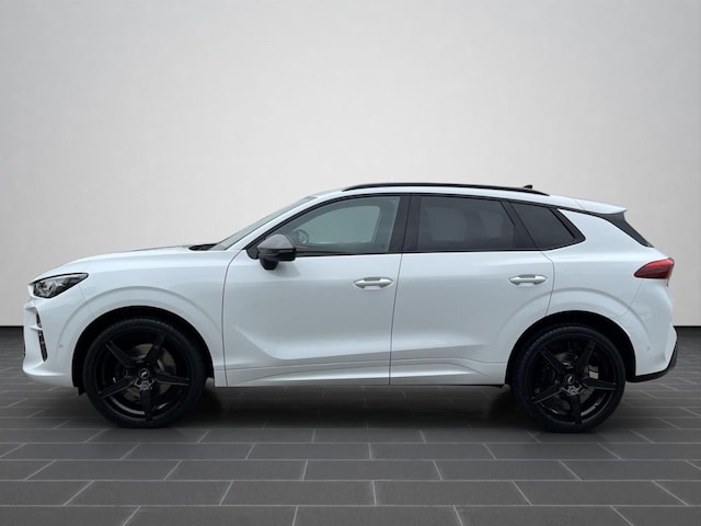 Cupra Terramar 2.0 TSI VZ