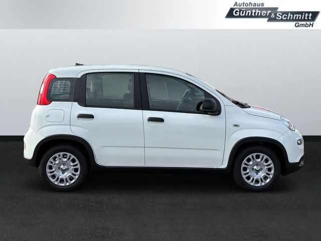 Fiat Panda 1.0 Pandina