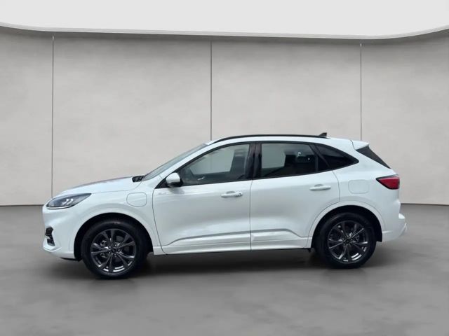 Ford Kuga Plug in Hybrid ST Line