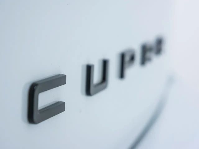 Cupra Ateca 2.0 TSI 4Drive DSG VZ