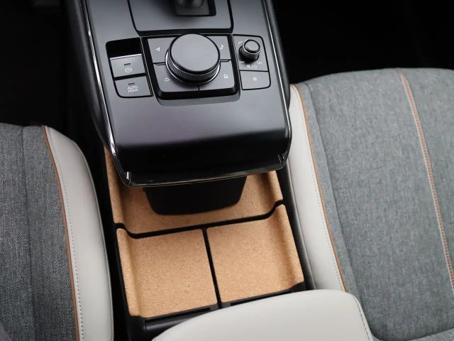 Mazda MX-30 First Edition/ Matrix, Tempomat, Navi, RFK