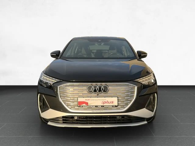 Audi e-tron /Rückfahrk/Matrix/Sitzhz