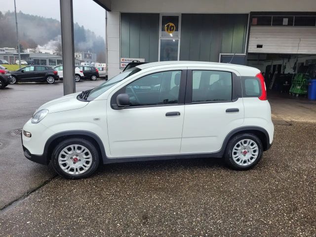 Fiat Panda Base Hybrid 1,0 (sehr gepflegt, 12Monate Garantie)