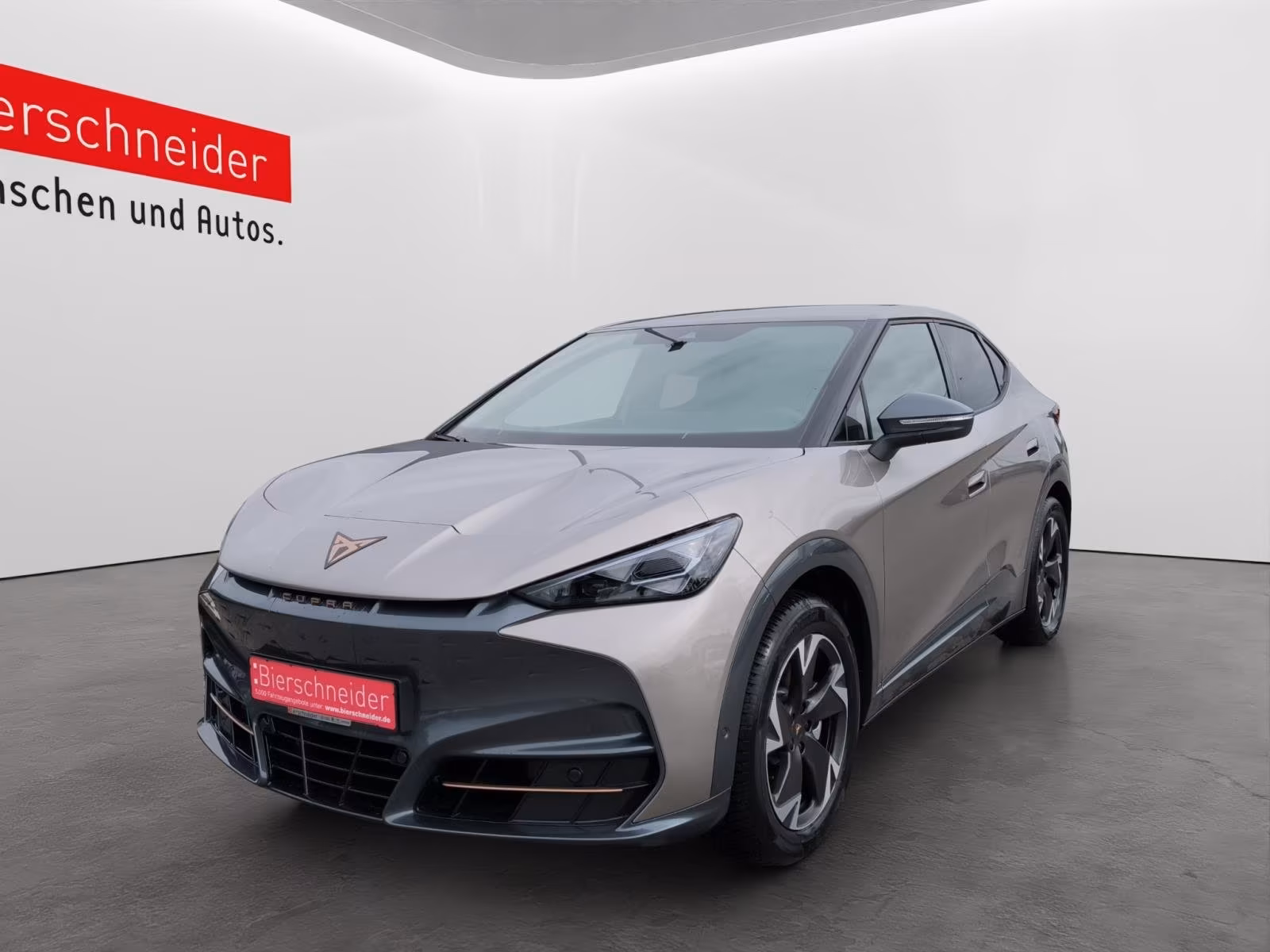 Cupra Tavascan Endurance