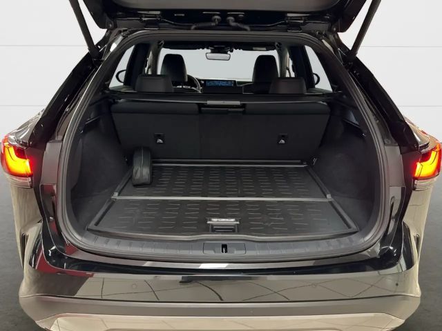 Lexus RX-Serie Business Line