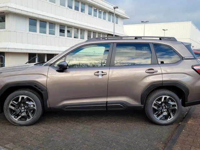 Subaru Forester Exclusive
