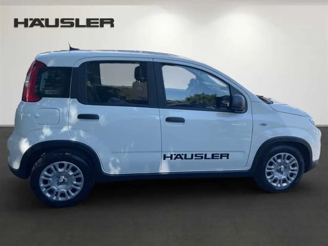 Fiat Panda 1.0 GSE Hybrid PDC*Klima*Tempomat*Bluetooth*ZV*Iso