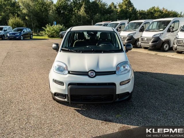 Fiat Panda Panda Hybrid  1.0 GSE 51kw (70PS)