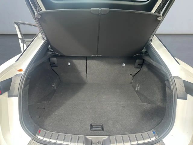 Lexus RZ Executive Line