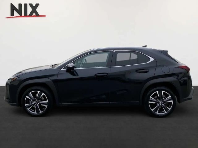 Lexus UX 250h Style Edition