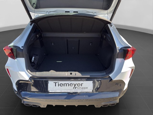 Cupra Formentor 2.0 TSI 4Drive VZ