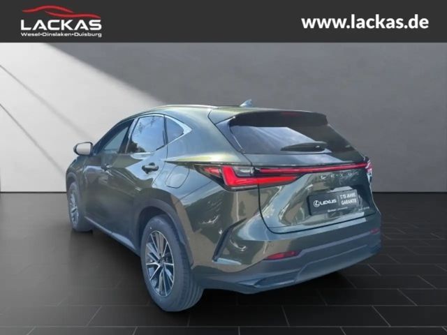 Lexus NX h 243 PS ** 15 Jahre Gar antie ** Sitzklima Connect - Paket 360°Kamera