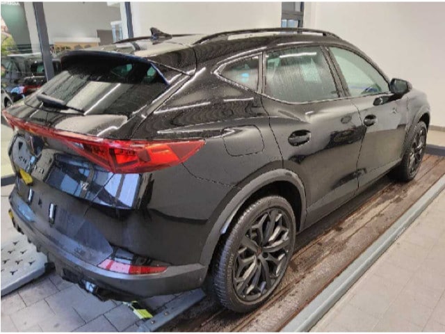 Cupra Formentor 2.0 TSI DSG VZ