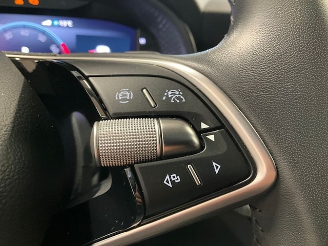 Skoda Kamiq el. Heckkl. RFK SHZ ACC LED