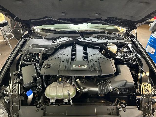 Ford Mustang Convertible GT 5.0 V8