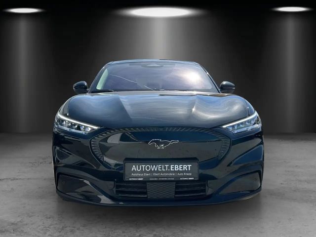 Ford Mustang Mach-E Mustang MACH-E Aut./LED/ACC/360°/PANO/NAVI/SHZ/