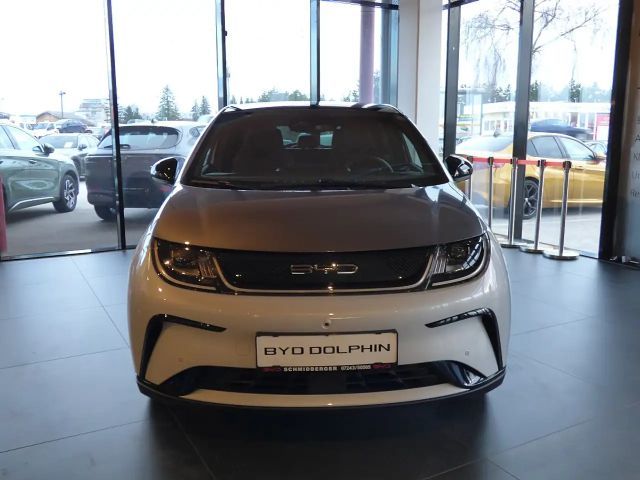 BYD Dolphin Design