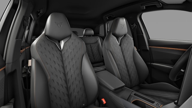 Cupra Terramar Performance