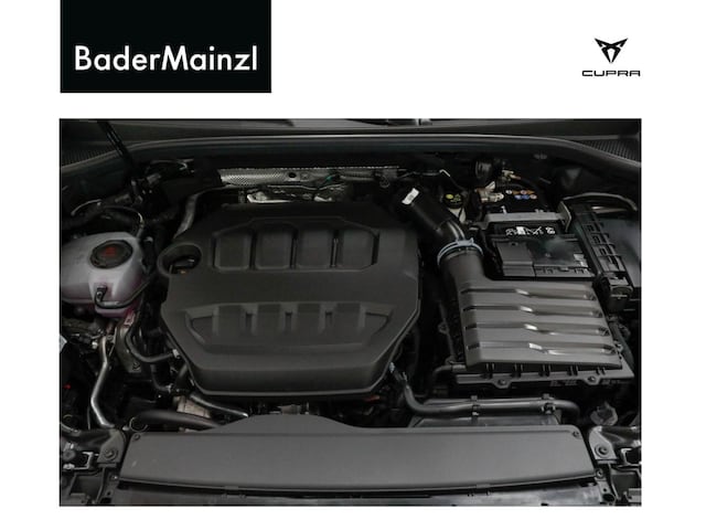 Cupra Terramar 2.0 TSI VZ
