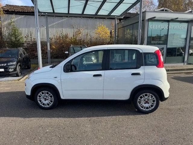 Fiat Panda Base, Mild Hybrid, Klima, DAB+