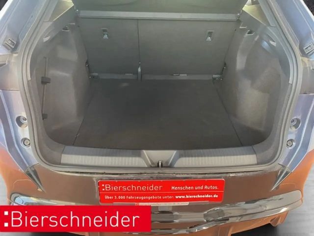 Cupra Tavascan Endurance