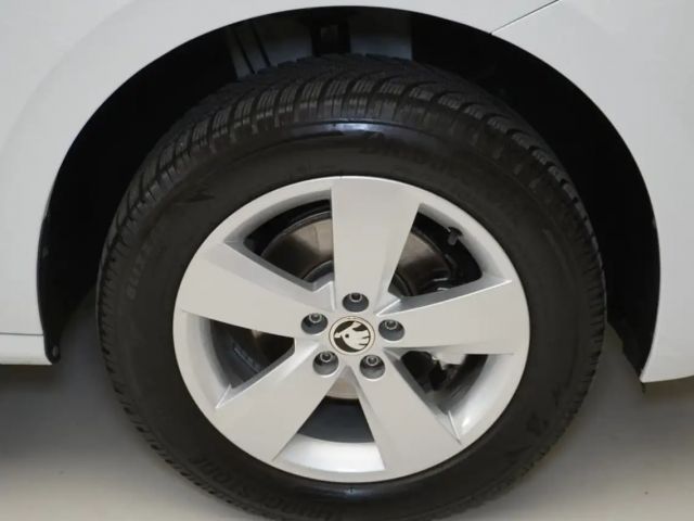 Skoda Kamiq Monte Carlo