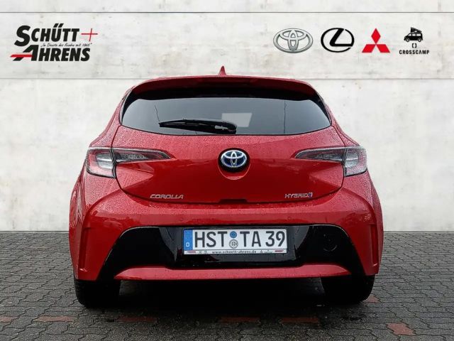 Toyota Corolla Team D