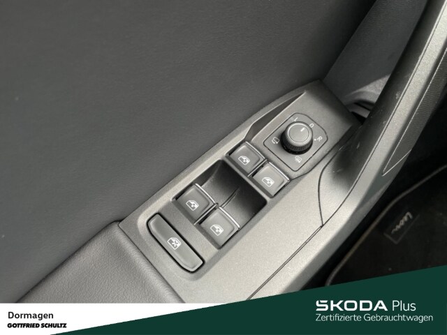 Seat Leon DSG FR-lijn e-Hybrid